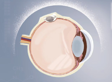 永乐高·70net(中国)有限公司官网-BinG百科