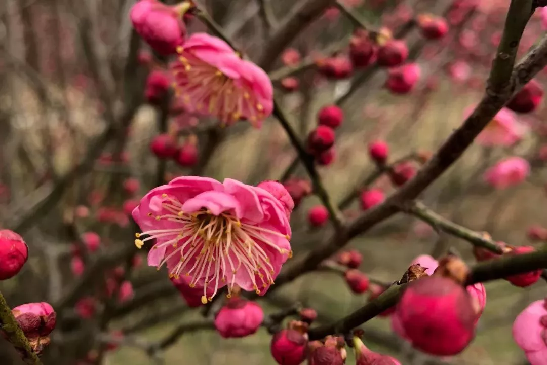 永乐高·70net(中国)有限公司官网-BinG百科