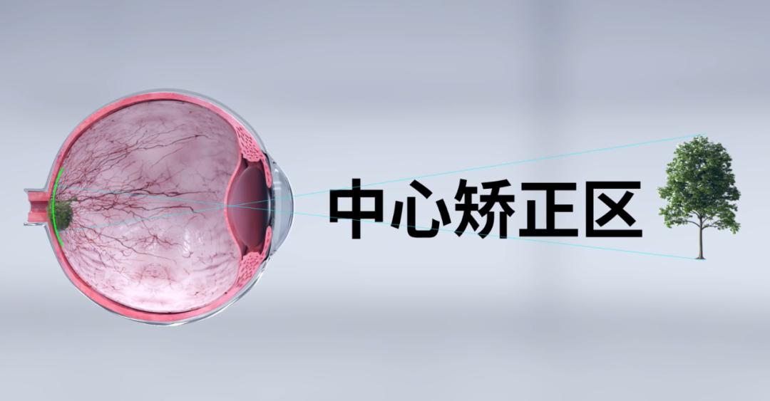 永乐高·70net(中国)有限公司官网-BinG百科